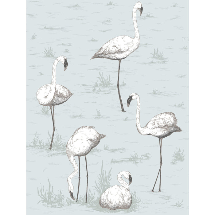 Cole & Son Flamingos Charcoal/Aqua Wallpaper 95/8047.CS.0