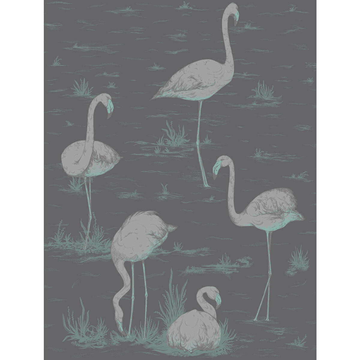 Cole & Son Flamingos Teal/Slvr/Bk Wallpaper 95/8048.CS.0