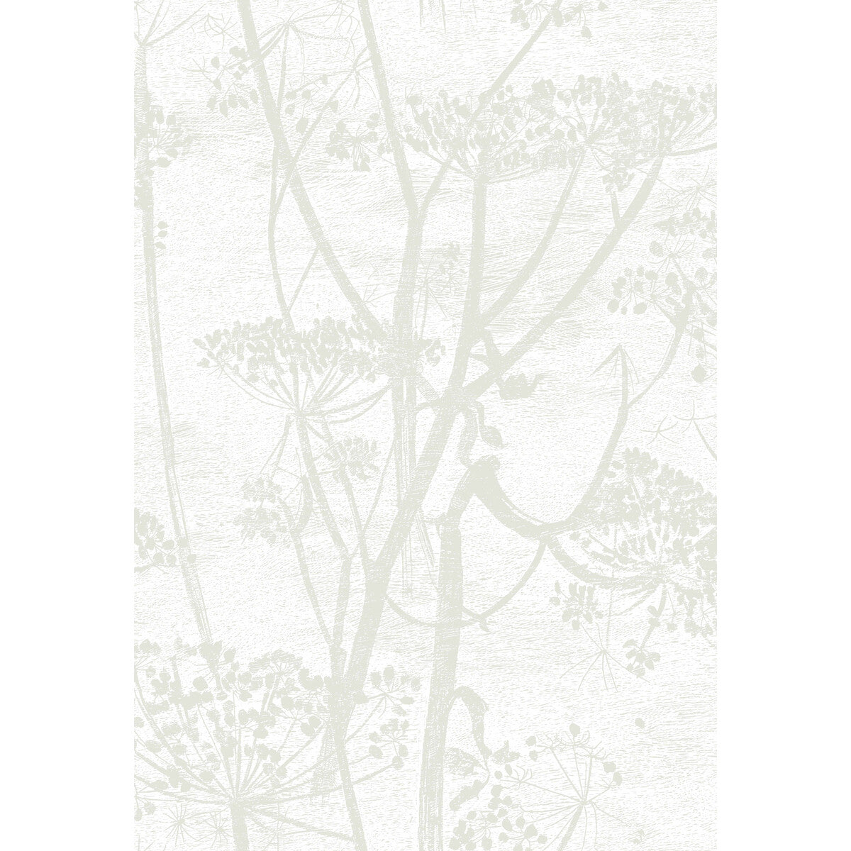 Cole & Son Cow Parsley White Wallpaper 95/9052.CS.0