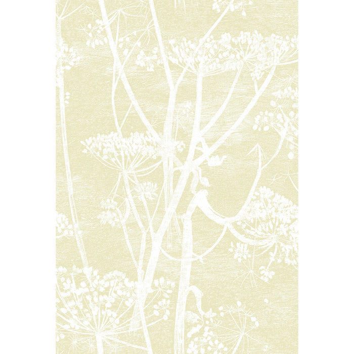 Cole & Son Cow Parsley Straw/White Wallpaper 95/9053.CS.0