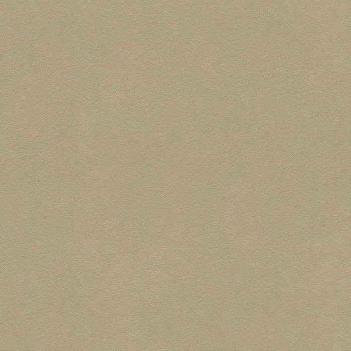 Lee Jofa Ultimate Pebble Fabric 960122.1060.0