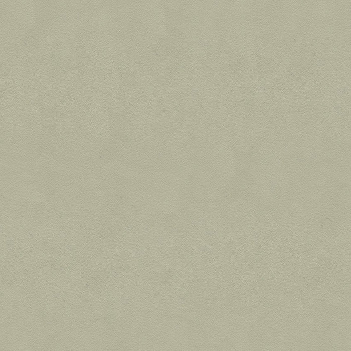 Lee Jofa Ultimate Ash Grey Fabric 960122.2101.0