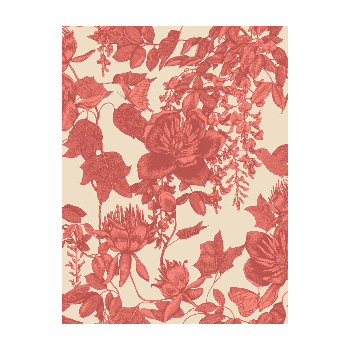 Cole & Son Tivoli Coral Wallpaper 99/7033.CS.0