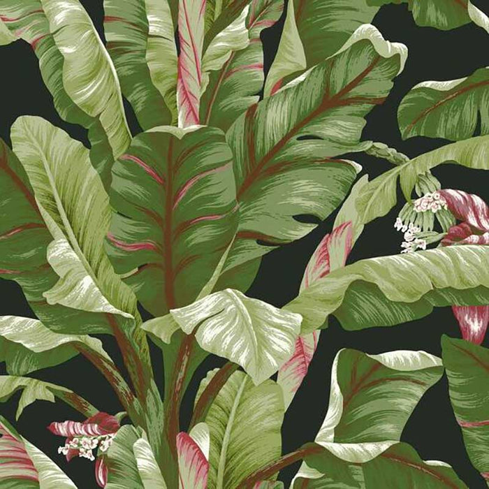 York Banana Leaf Black/Green Wallpaper AT7071