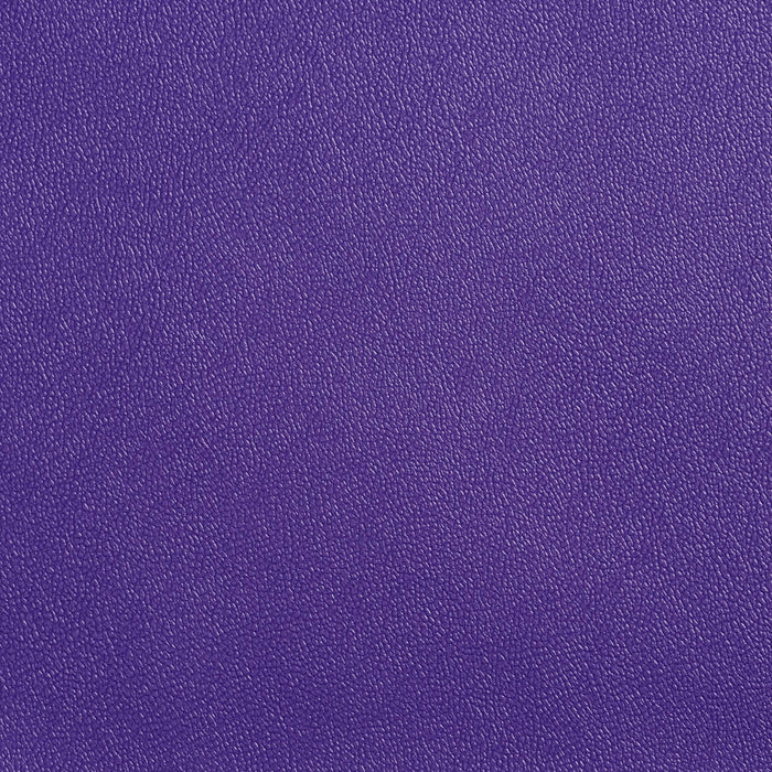 Charlotte Violet Fabric Allsport-Violet