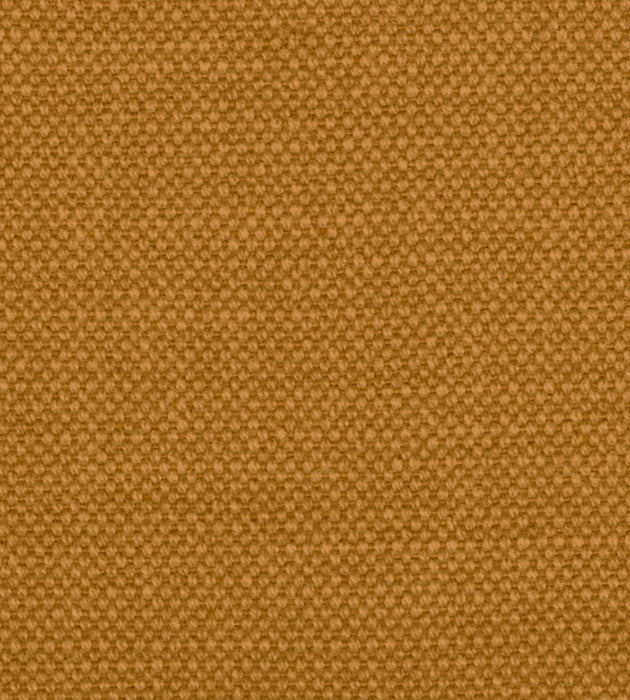 Alhambra Aspen Brushed Wide Butterscotch Fabric B8 01011100