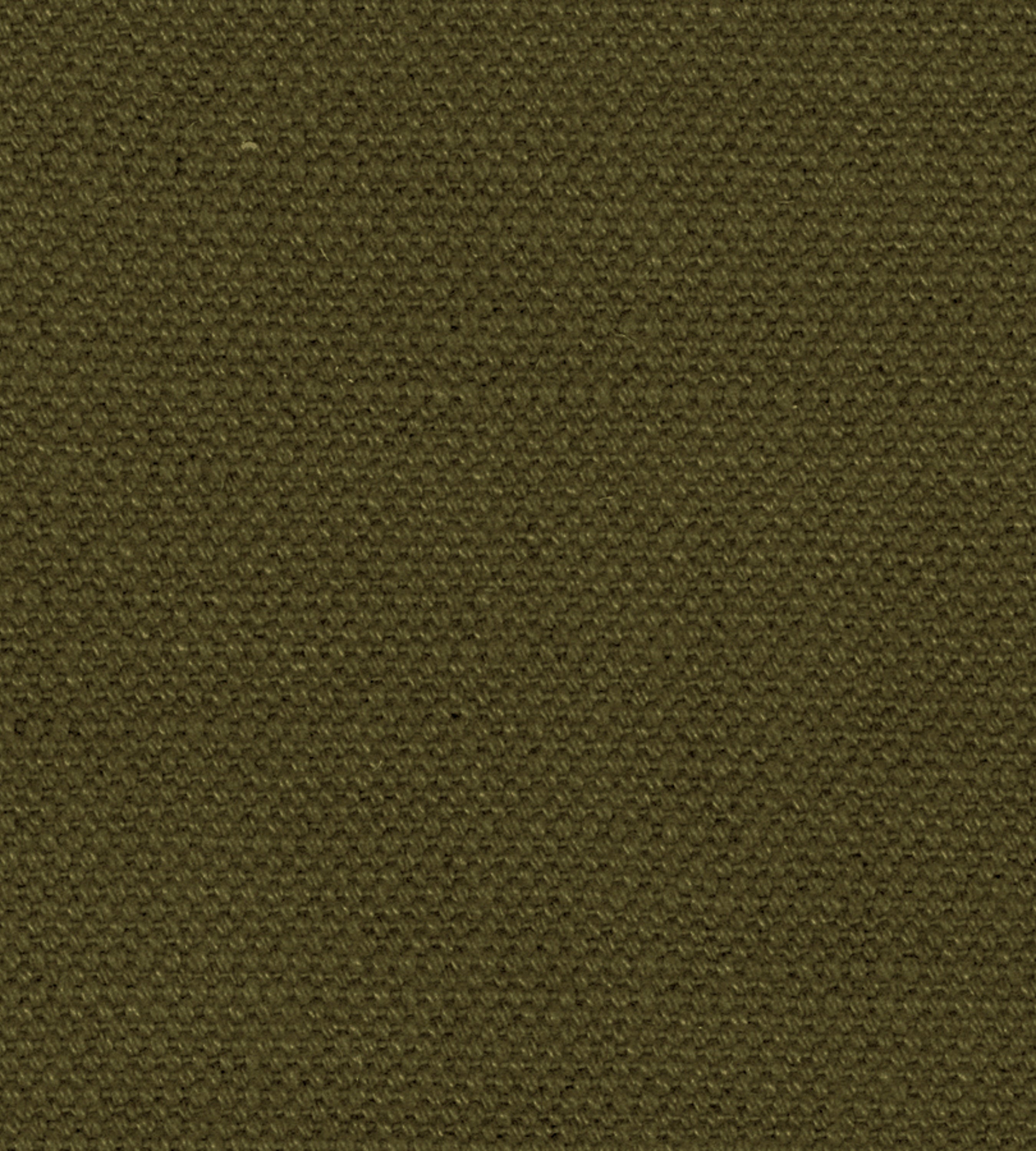 Alhambra Aspen Brushed Wide Artichoke Fabric B8 01231100