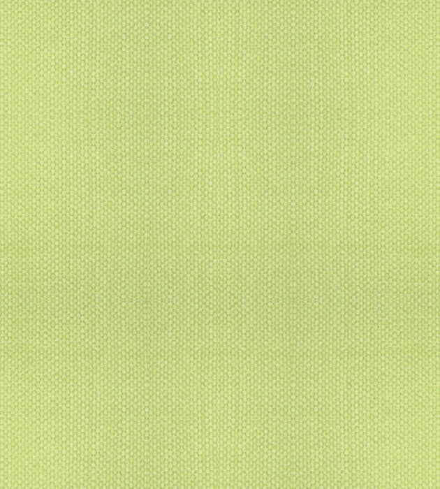 Alhambra Aspen Brushed Wide Mimosa Fabric B8 00051100