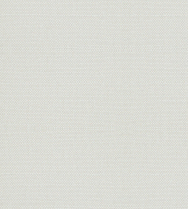 Alhambra Aspen Brushed Wide Parsnip Fabric B8 00271100