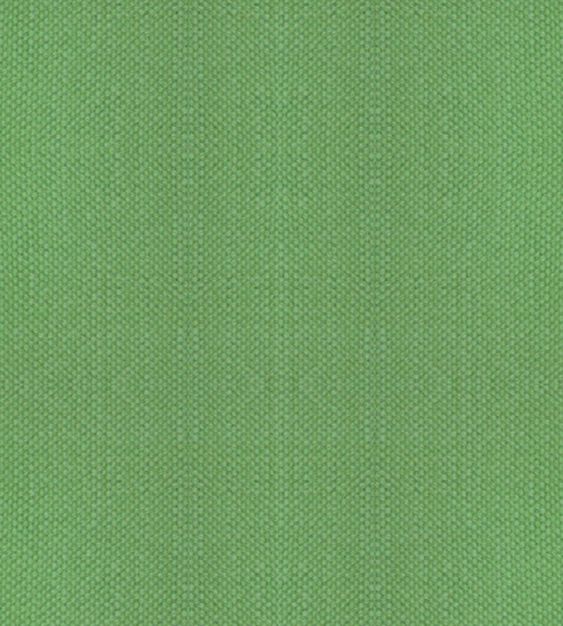 Alhambra Aspen Brushed Wide Apple Green Fabric B8 00331100