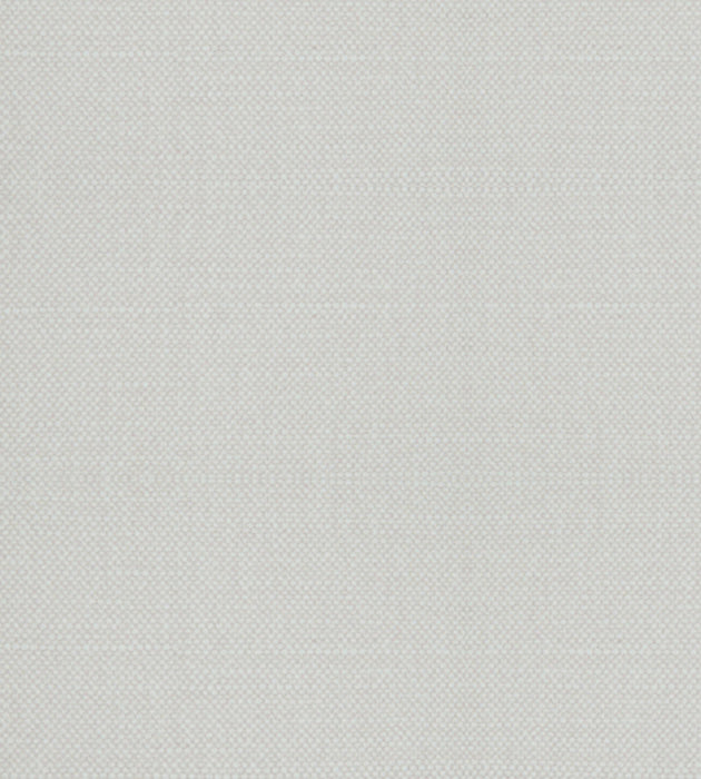 Alhambra Aspen Brushed Wide Gesso Fabric B8 00471100