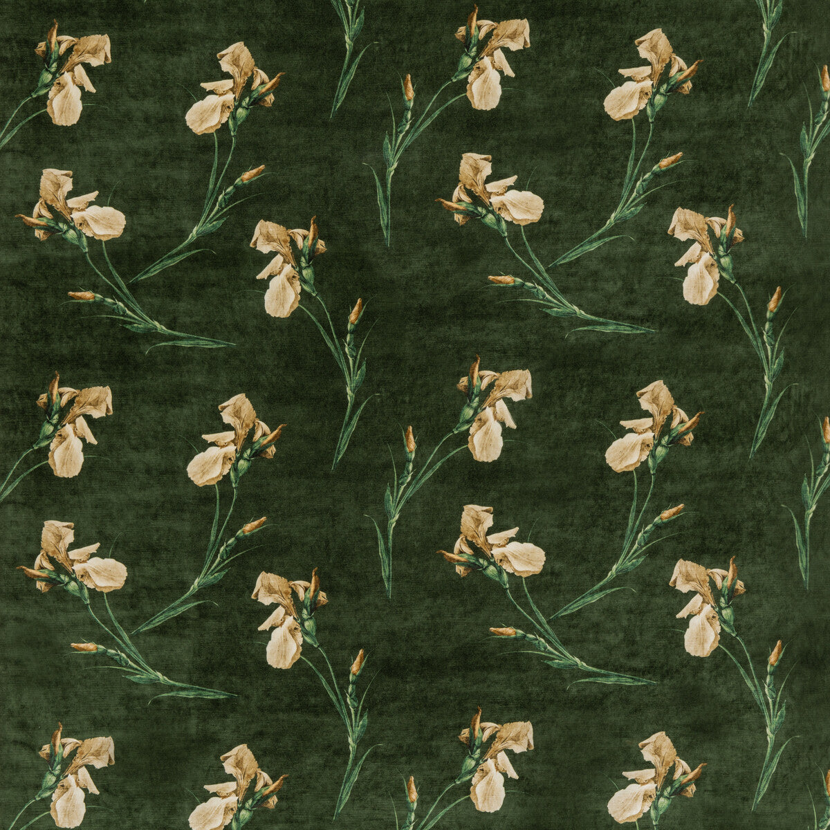 GP & J Baker Baker Iris Emerald Fabric BP10819.2.0