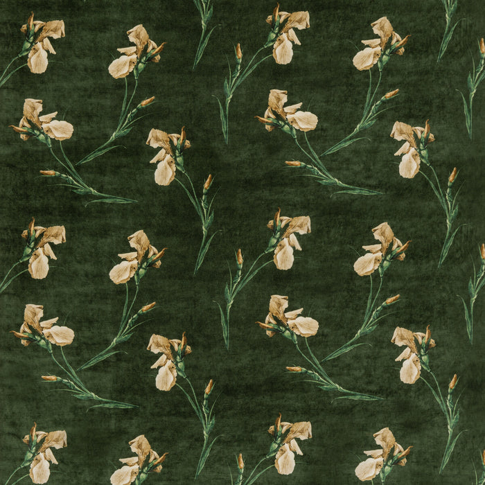 GP & J Baker Baker Iris Emerald Fabric BP10819.2.0