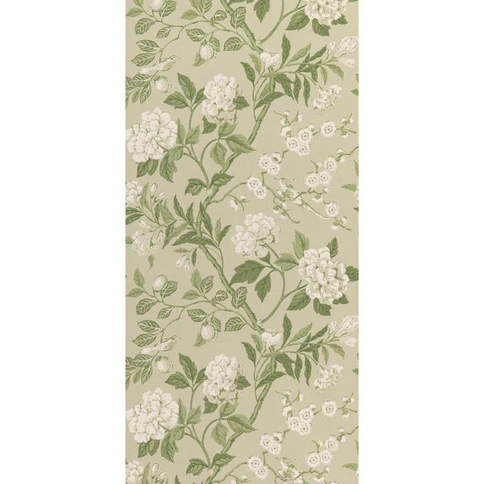 GP & J Baker Emperor'S Garden Soft Green Wallpaper BW45000.10.0