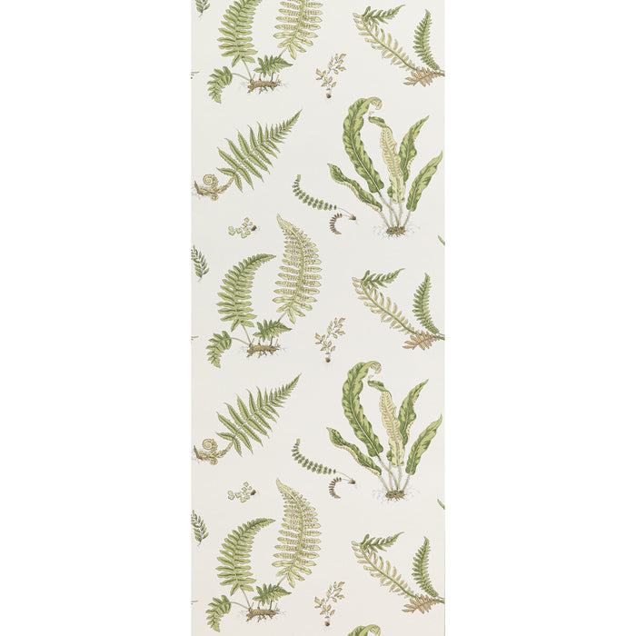 GP & J Baker Ferns Leaf Wallpaper BW45044.10.0