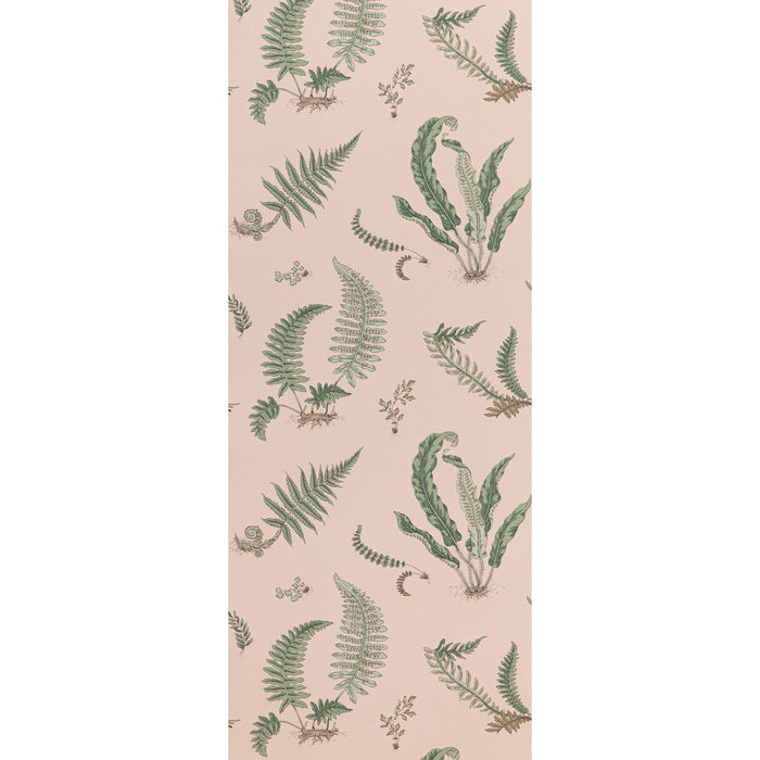 GP & J Baker Ferns Blush Wallpaper BW45044.11.0