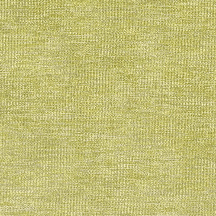 Charlotte  Fabric Sample CB700-282