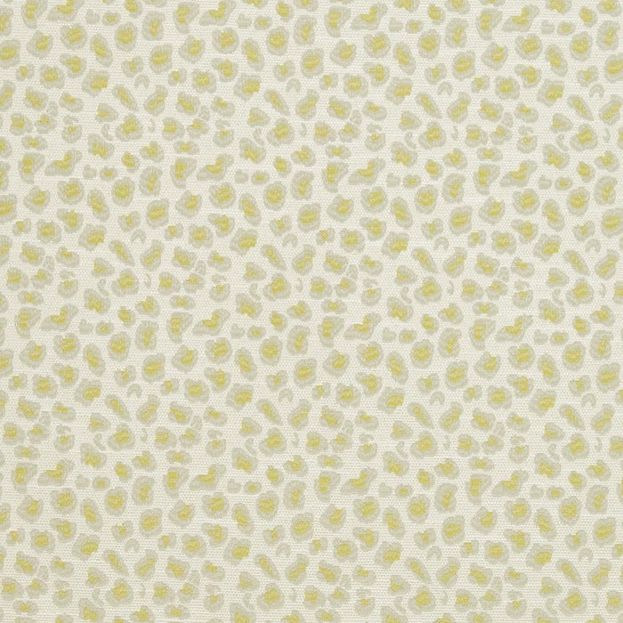 Charlotte  Fabric Sample CB700-310