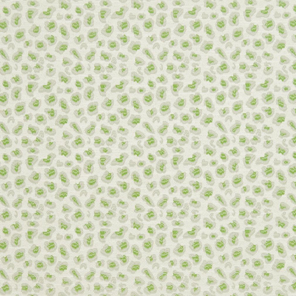 Charlotte  Fabric CB700-311