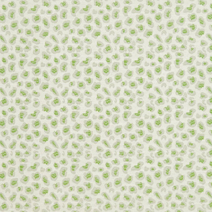 Charlotte  Fabric CB700-311