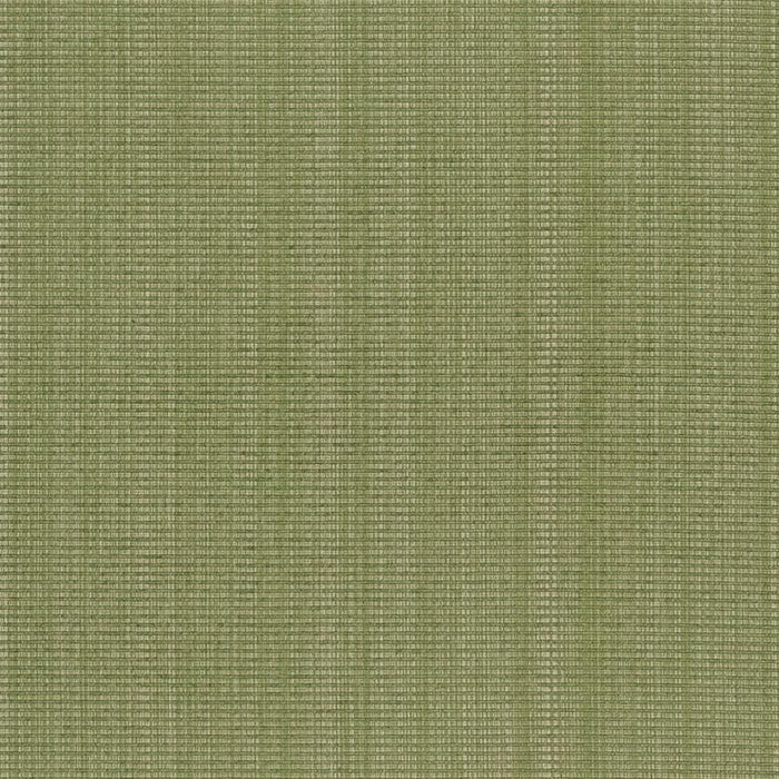 Charlotte  Fabric Sample CB700-317