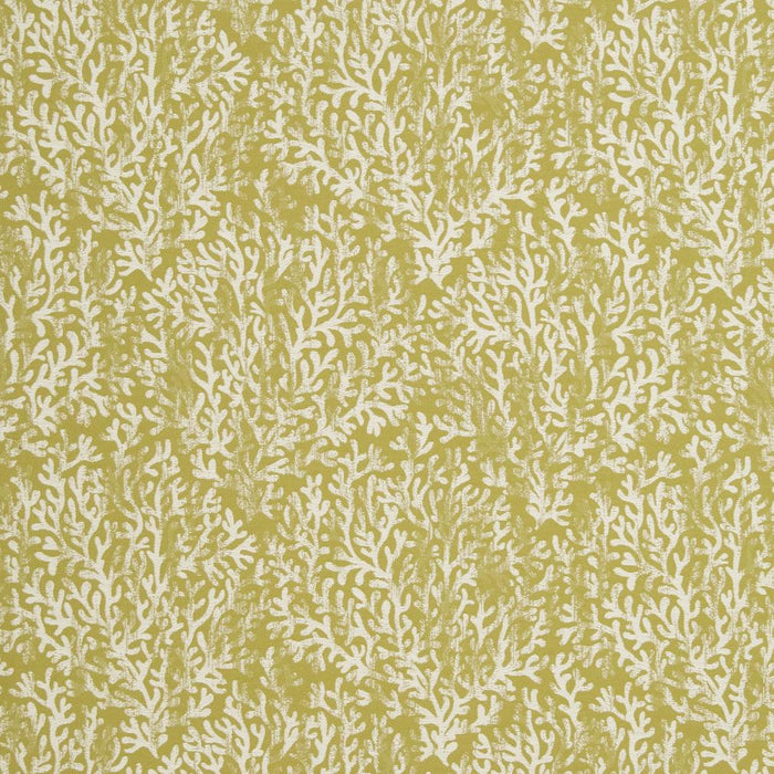 Charlotte  Fabric Sample CB700-335