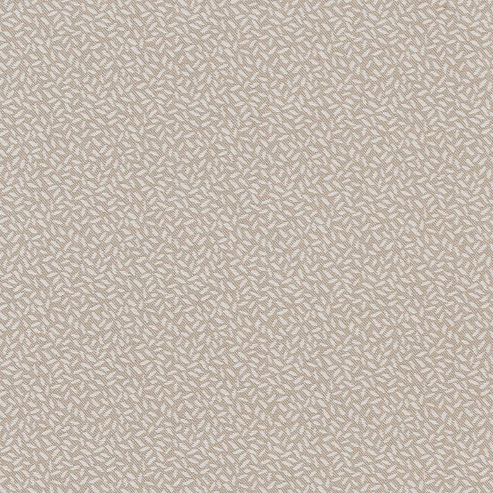 Charlotte  Fabric Sample CB700-346