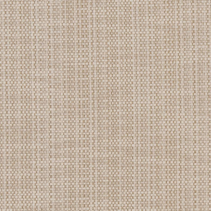 Charlotte  Fabric Sample CB700-359