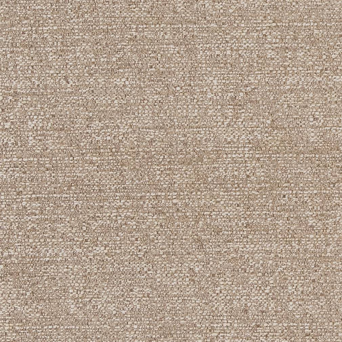 Charlotte  Fabric Sample CB700-379