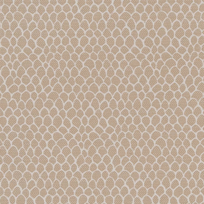 Charlotte  Fabric Sample CB700-400