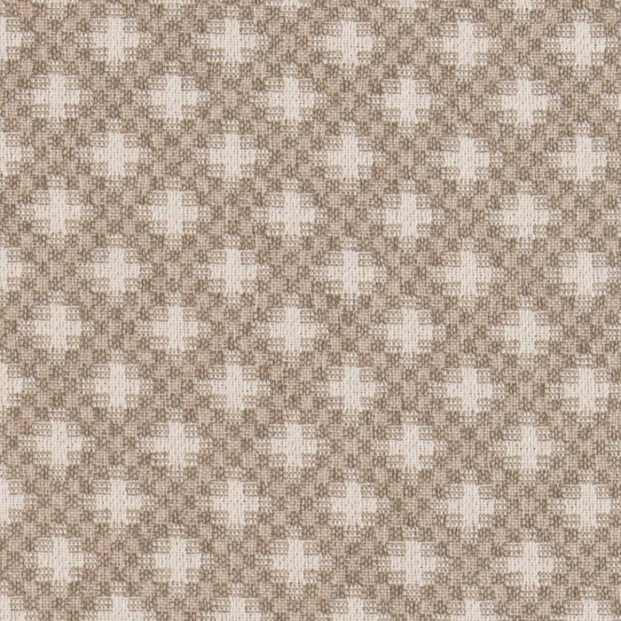 Charlotte  Fabric Sample CB800-237