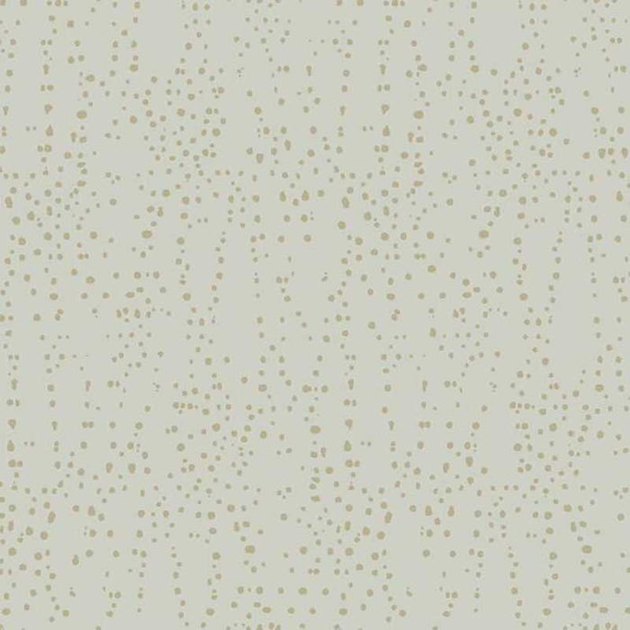 York Star Struck Gray/Gold Wallpaper CI2354