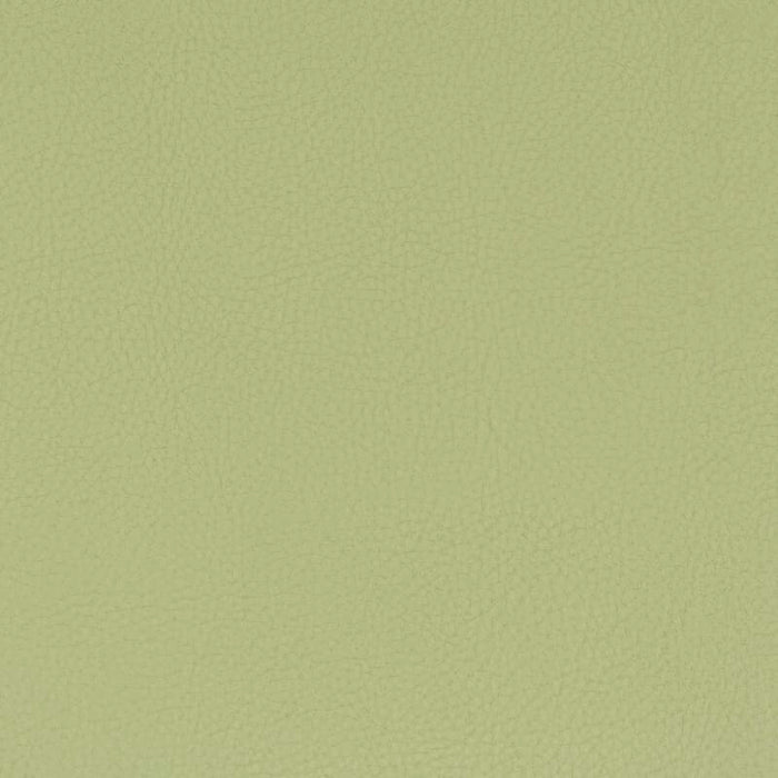 Stout Classic 8 Pistachio Fabric CLAS-8