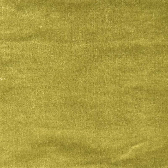 Colony Pisanello Green Bamboo Fabric CL 000130217