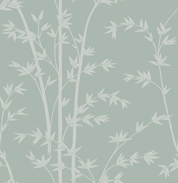 Colony Bamboo Nebbia Wallpaper CL 0003WP26731