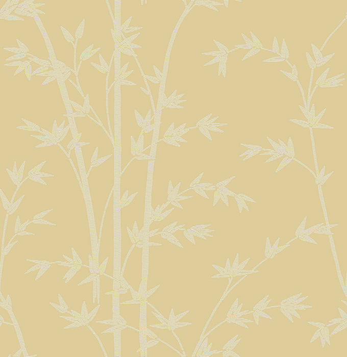 Colony Bamboo Giallo Wallpaper CL 0005WP26731