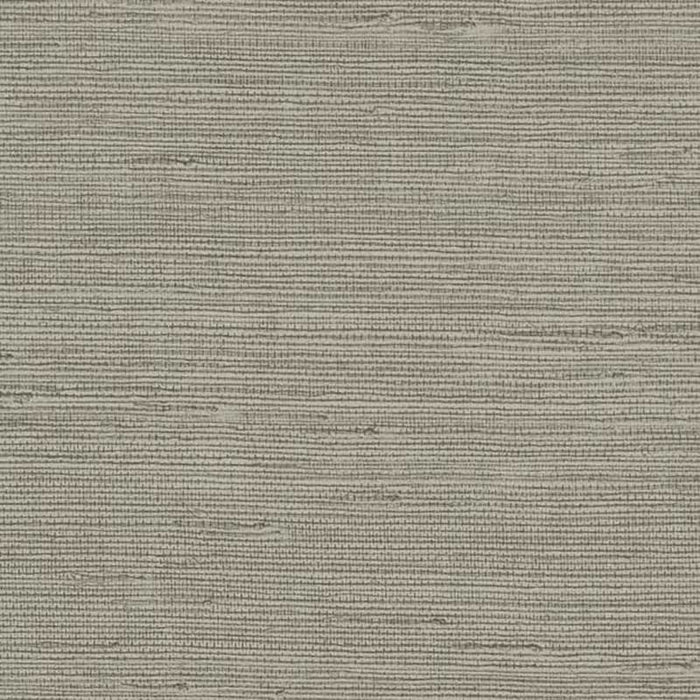 York Pampas Browns Wallpaper COD0553N