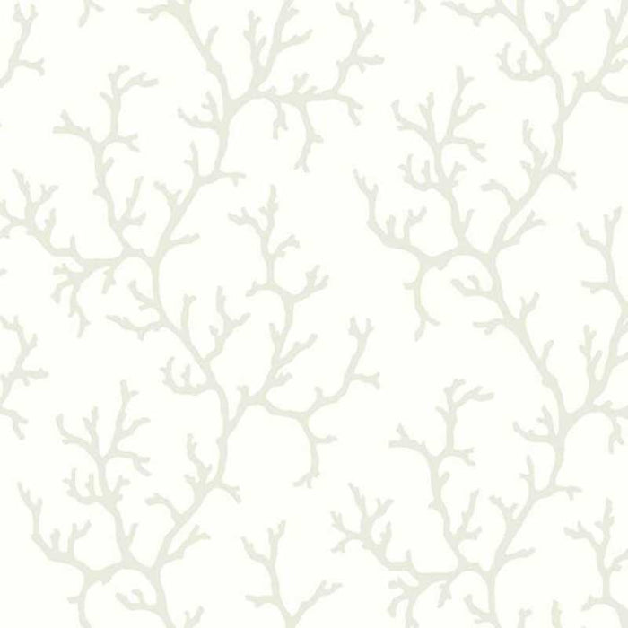 York Coral Island White Wallpaper CV4431