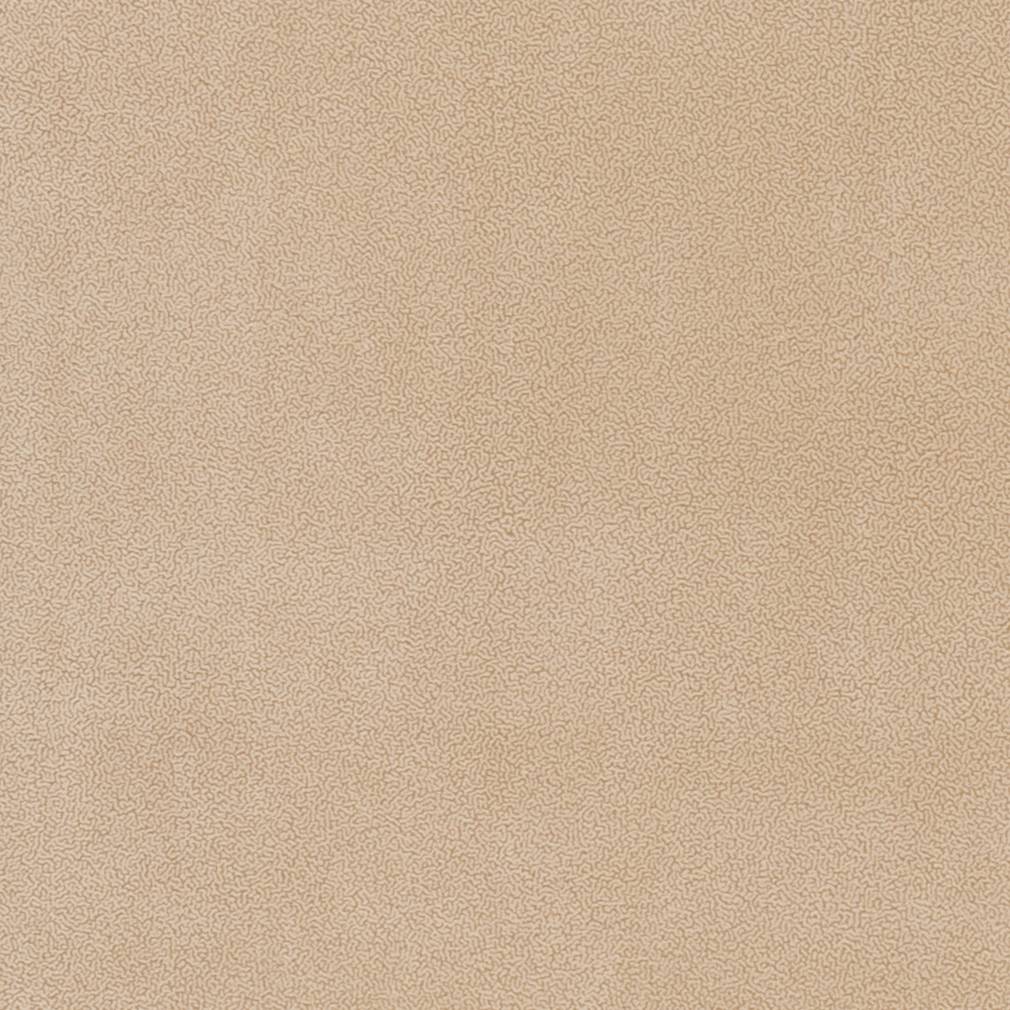 Charlotte Cream Fabric Sample D1044