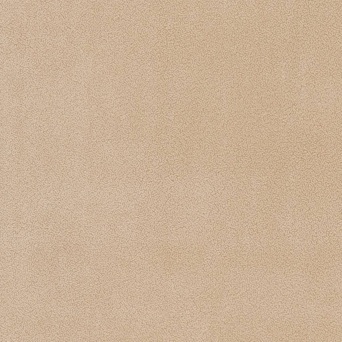 Charlotte Cream Fabric Sample D1044