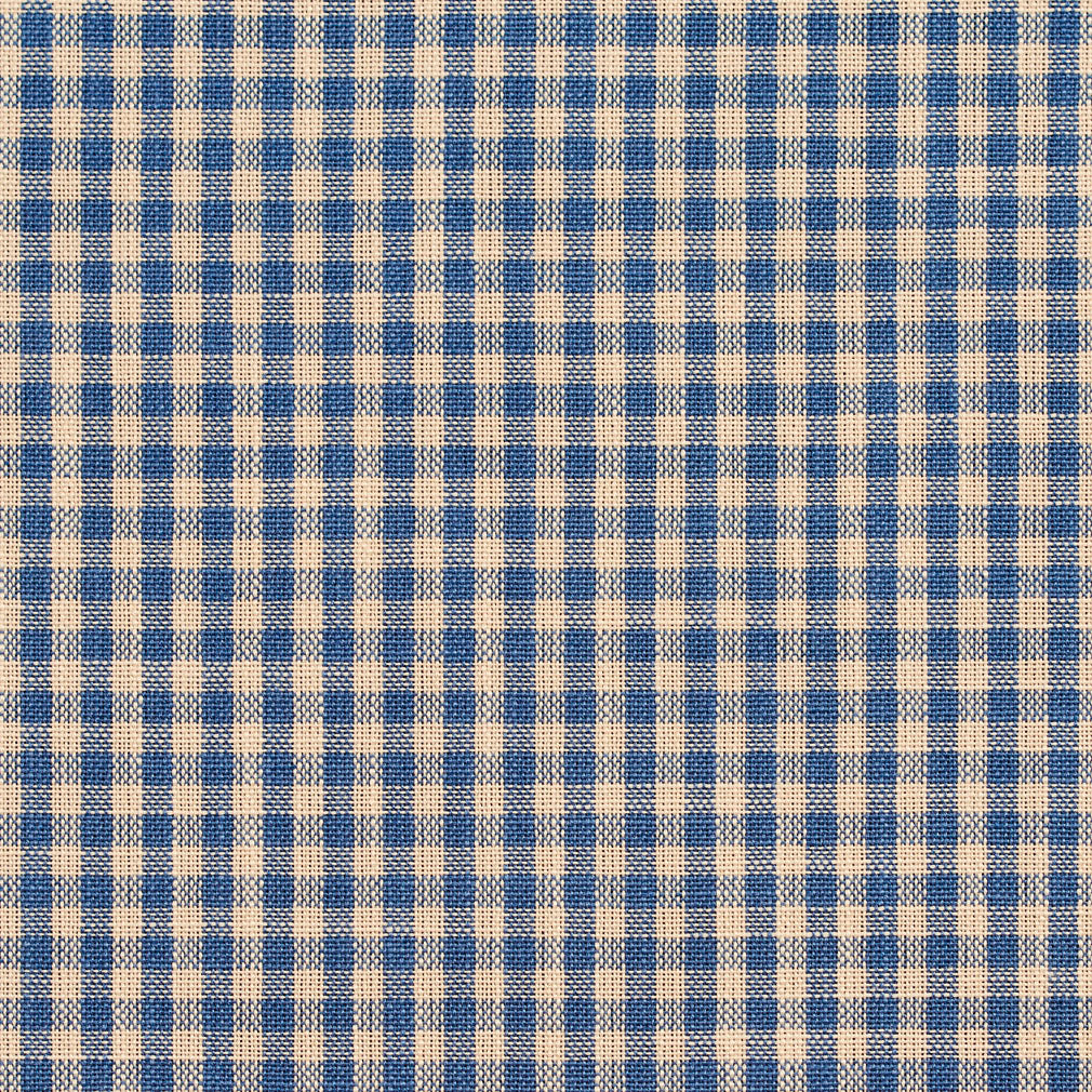 Charlotte Wedgewood Gingham Fabric Sample D116