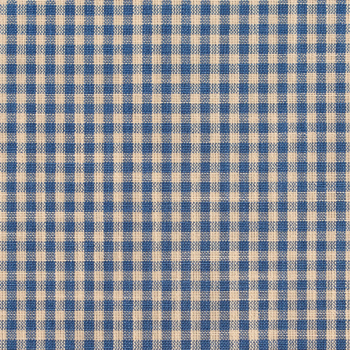 Charlotte Wedgewood Gingham Fabric Sample D116