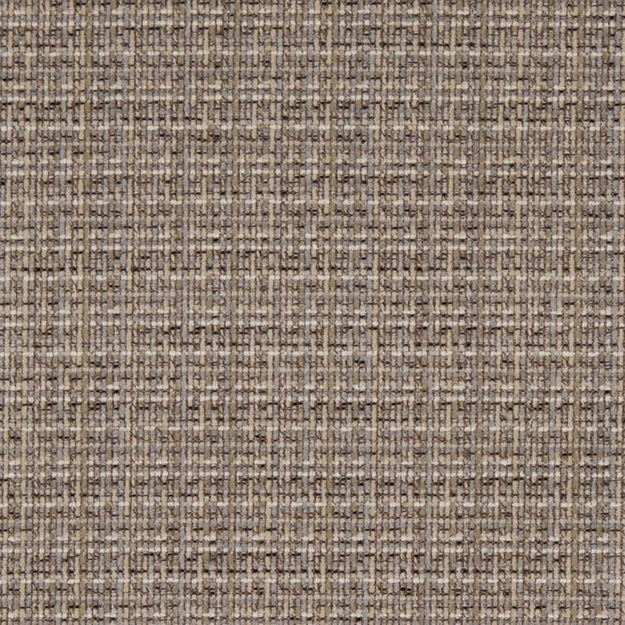 Charlotte Driftwood Fabric D1175