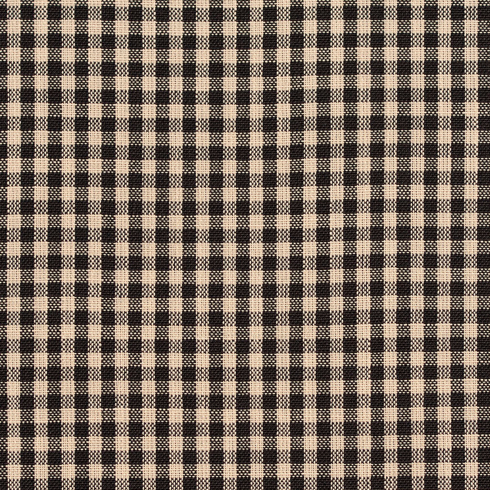 Charlotte Onyx Gingham Fabric Sample D117