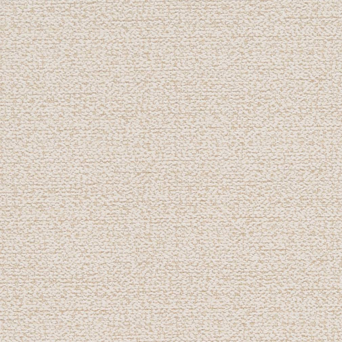 Charlotte Eggshell Fabric Sample D1181