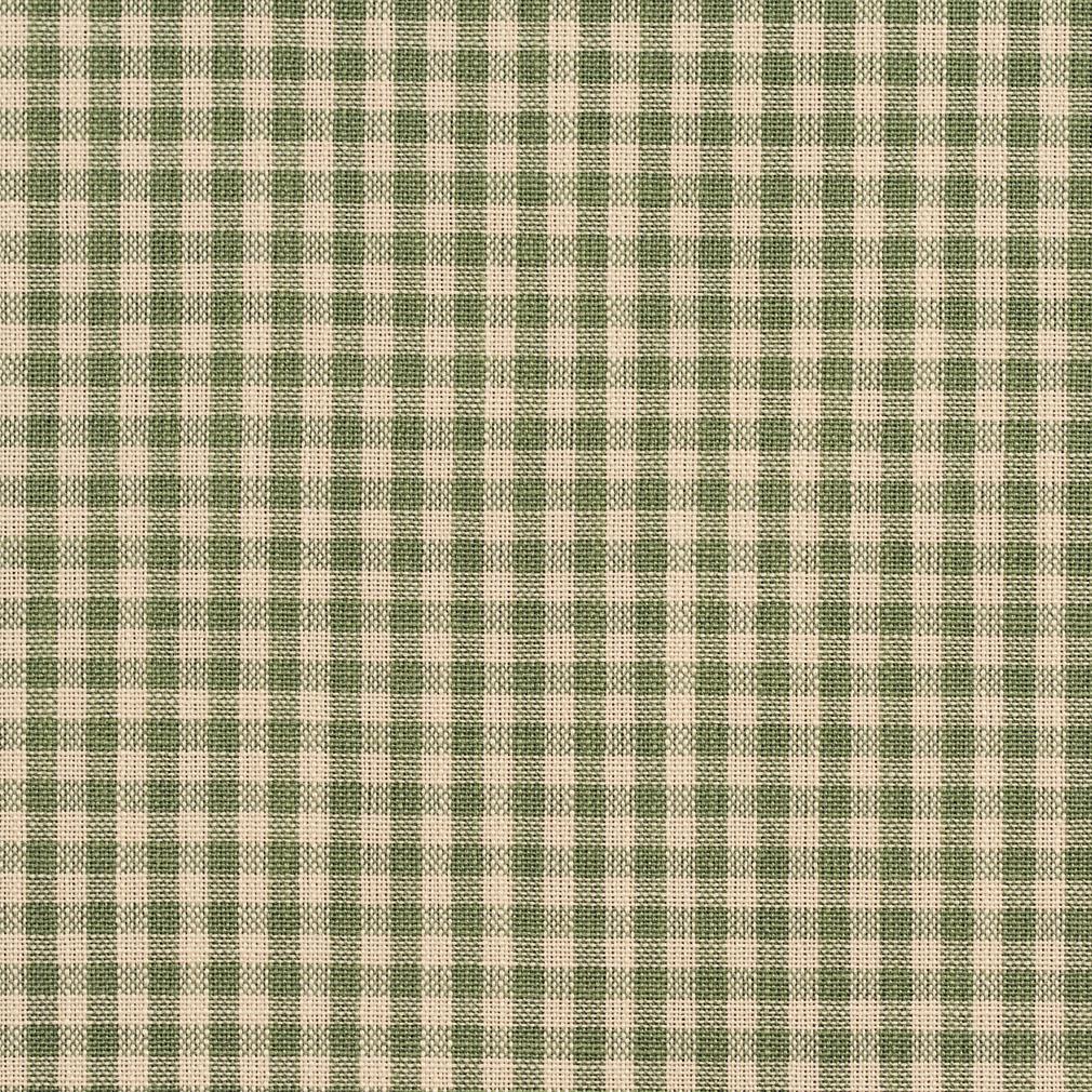 Charlotte Juniper Gingham Fabric Sample D119