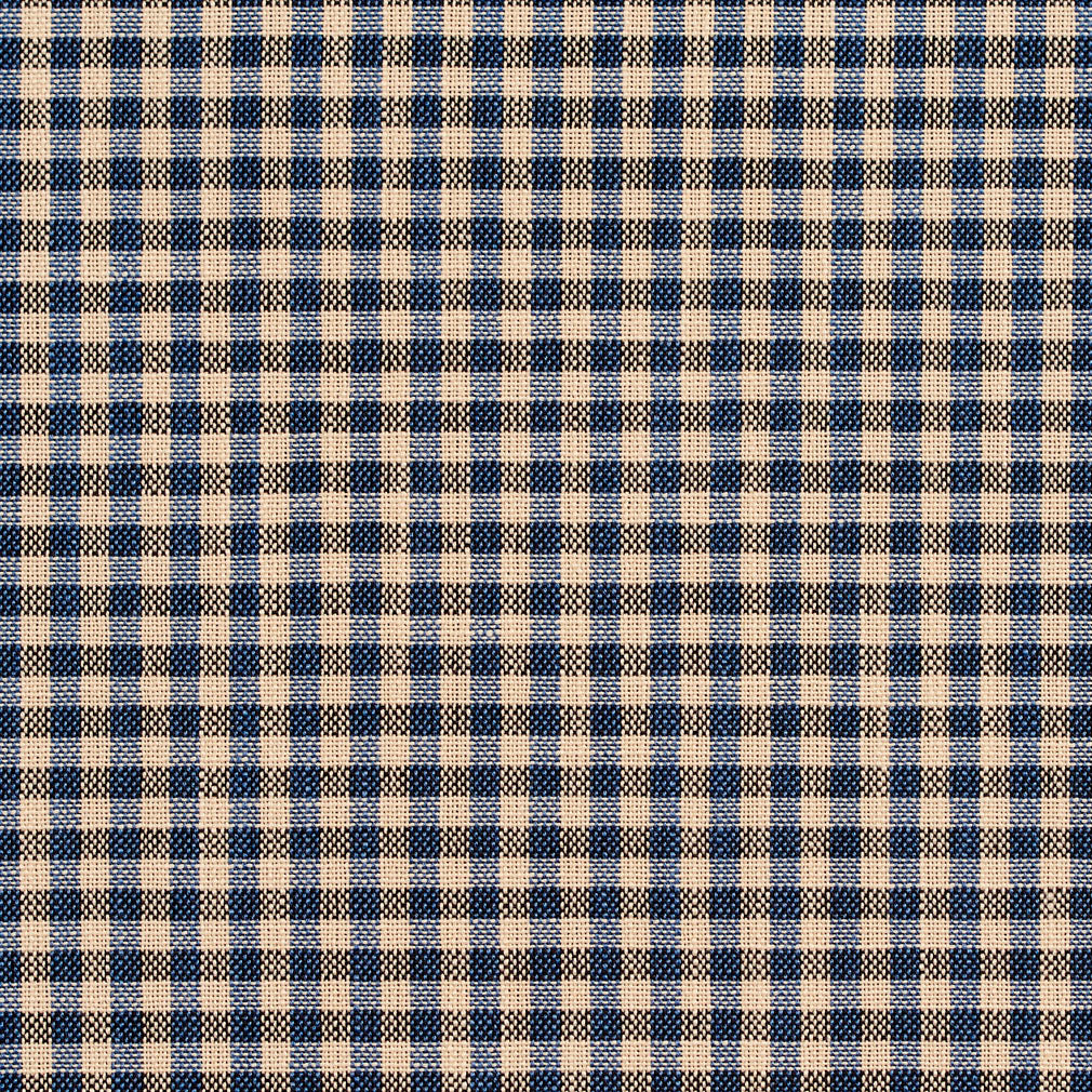 Charlotte Indigo Gingham Fabric Sample D120