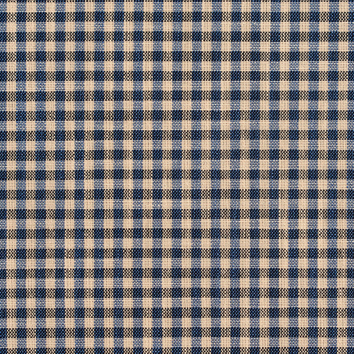 Charlotte Indigo Gingham Fabric Sample D120