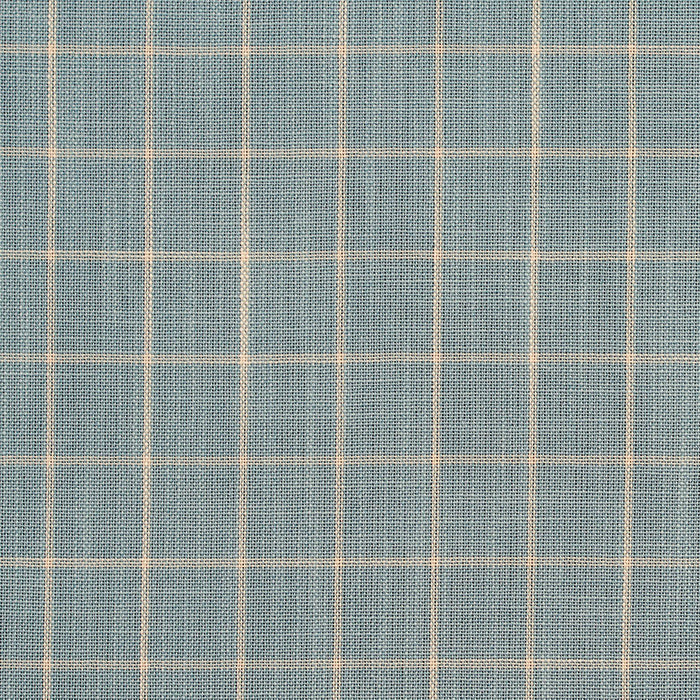 Charlotte Cornflower Checkerboard Fabric Sample D125