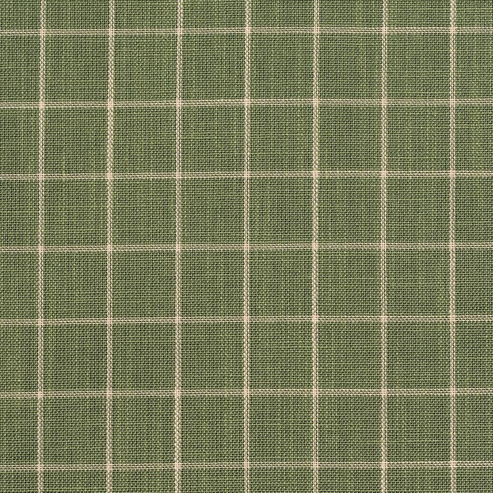 Charlotte Juniper Checkerboard Fabric Sample D126